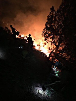 Southern Nevada Interagency Hand Crew photo