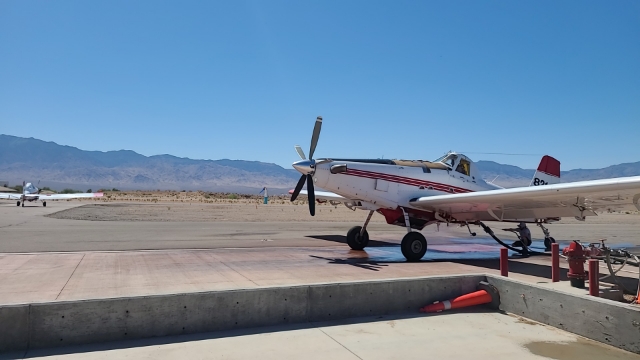 Mesquite SEAT base photo