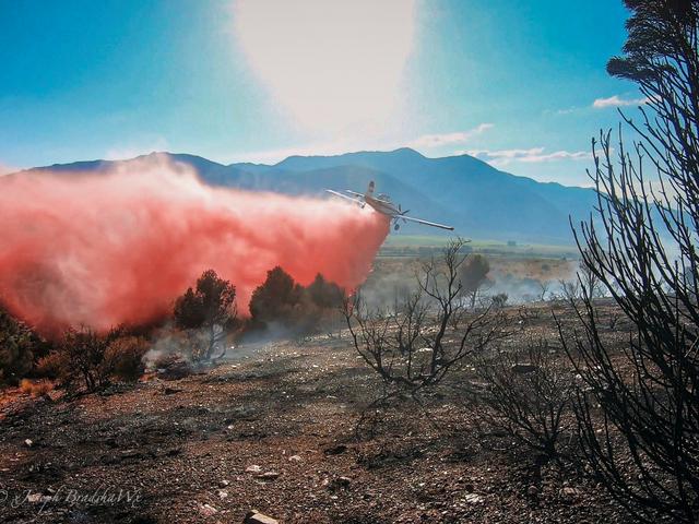 Mesquite SEAT base logo