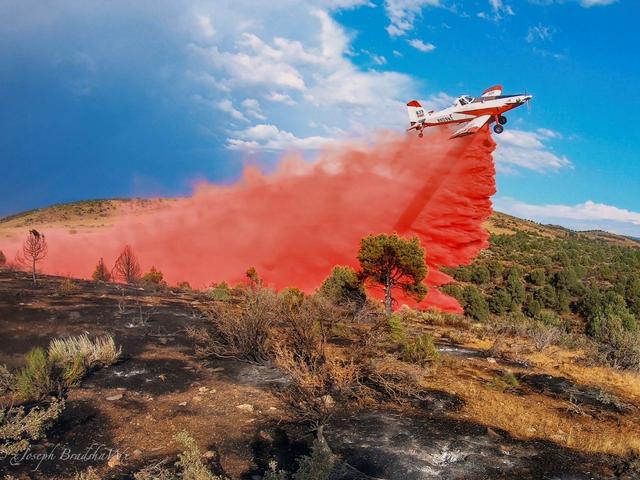Mesquite SEAT base photo